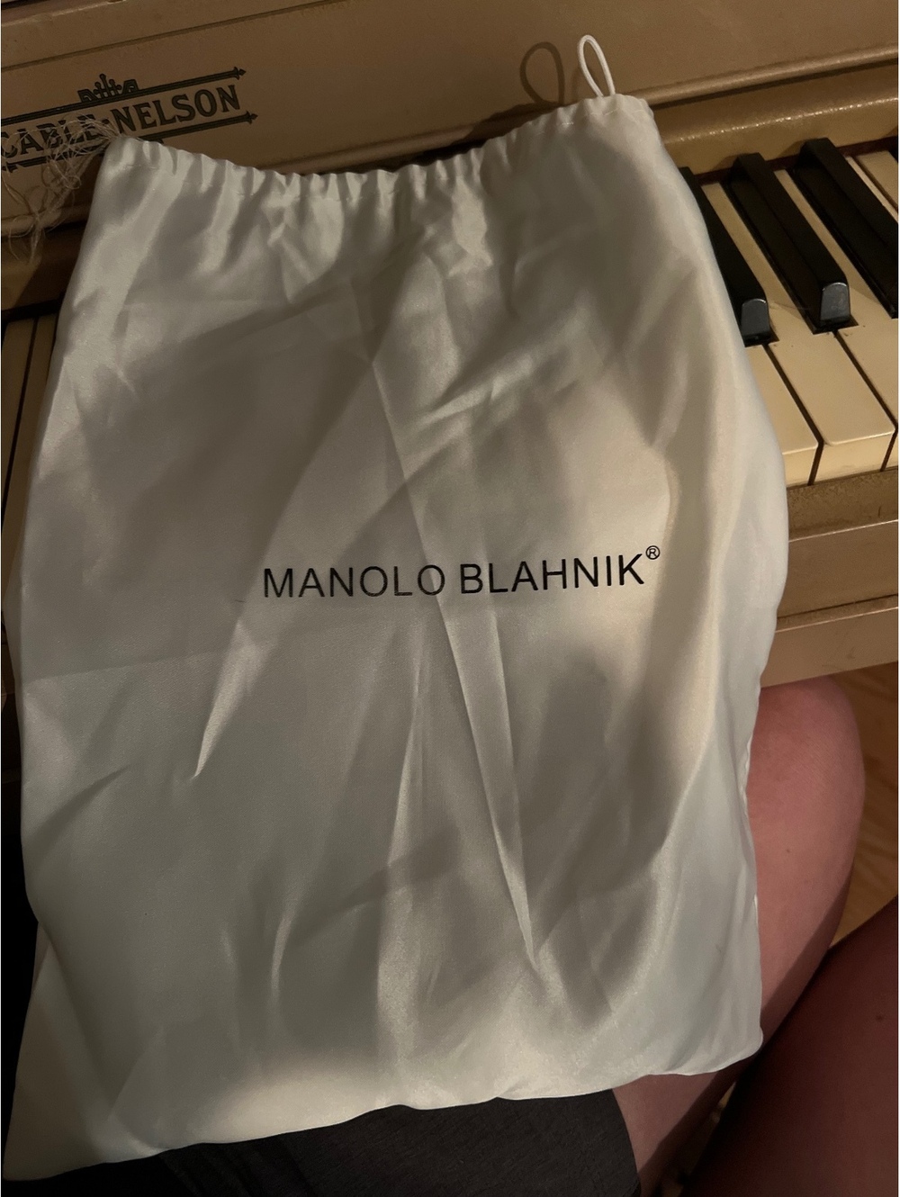 Manolo Blahnik 1 shoe dustbag